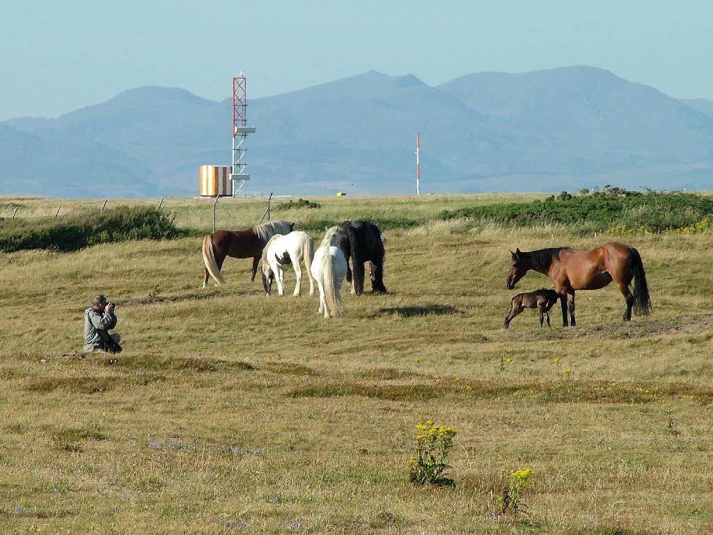 Click now to see this image full size.