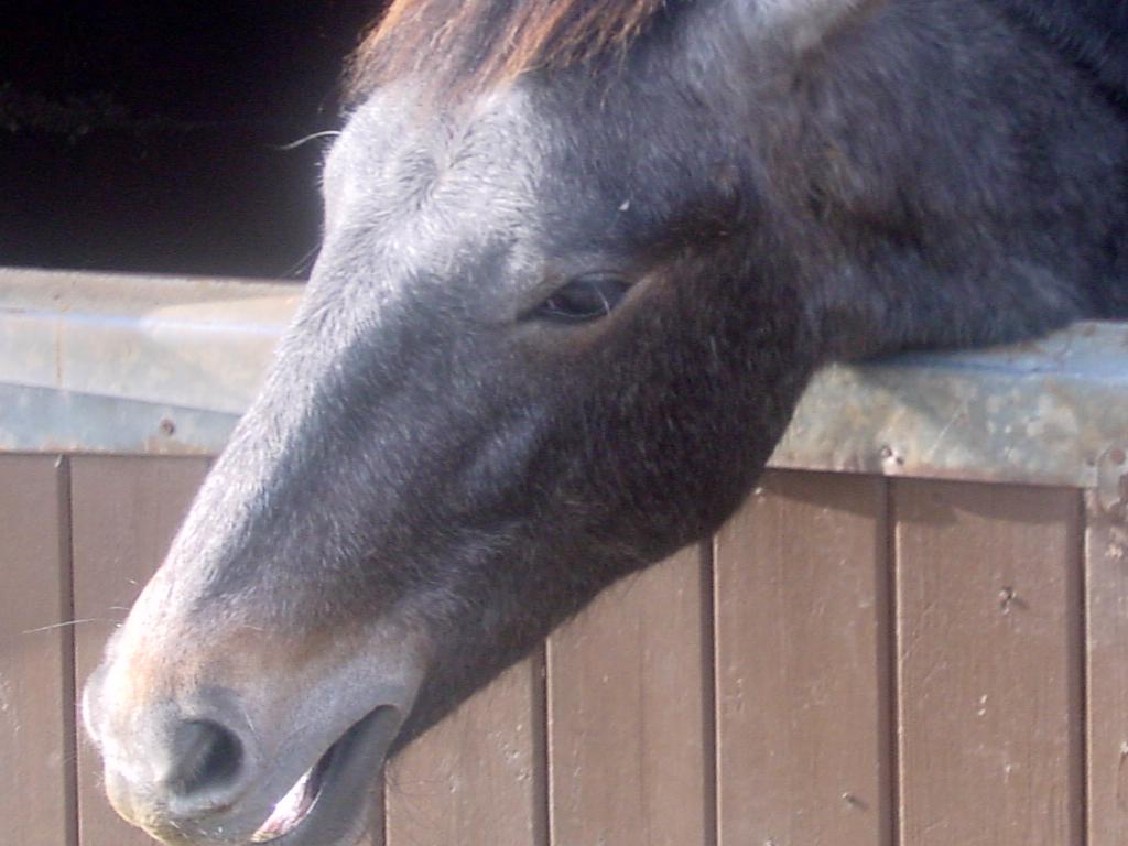 Click now to see this image full size.