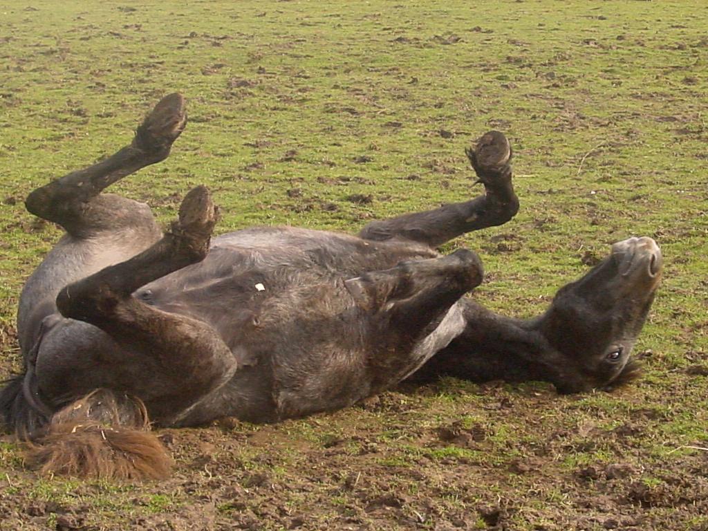 Click now to see this image full size.