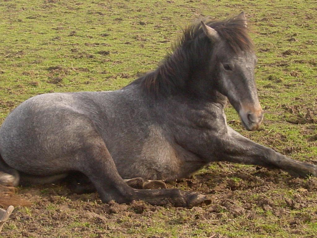 Click now to see this image full size.