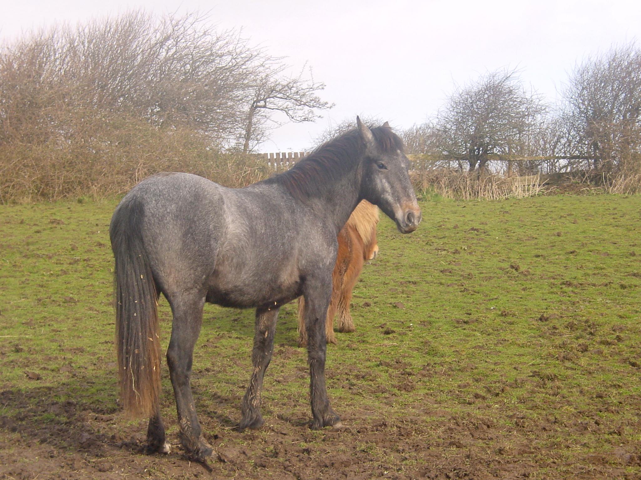 Click now to see this image full size.