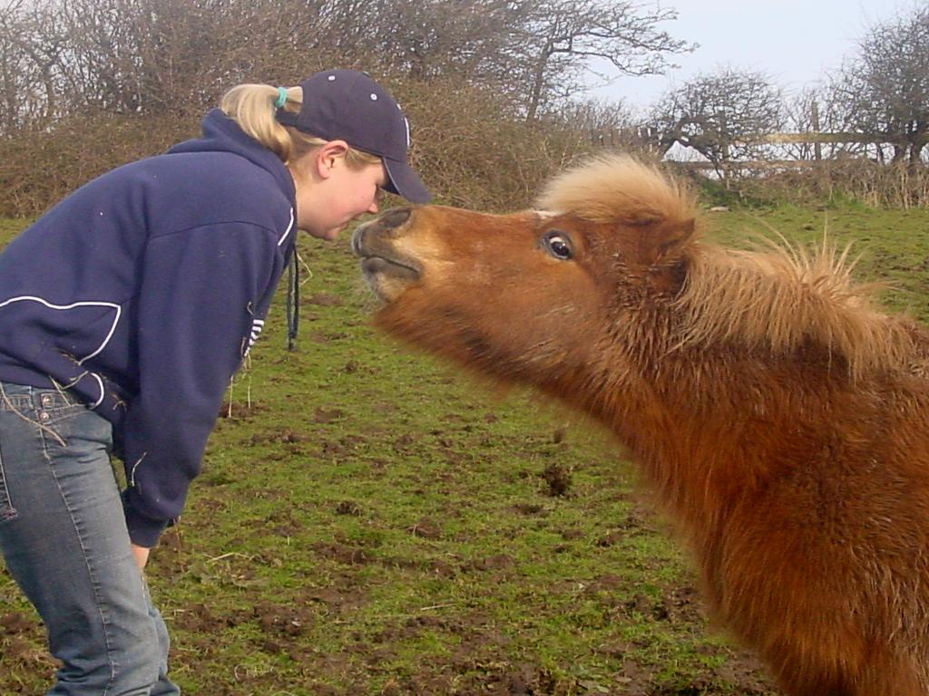 Click now to see this image full size.