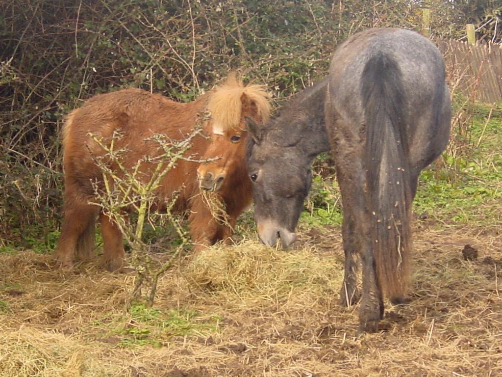 Click now to see this image full size.