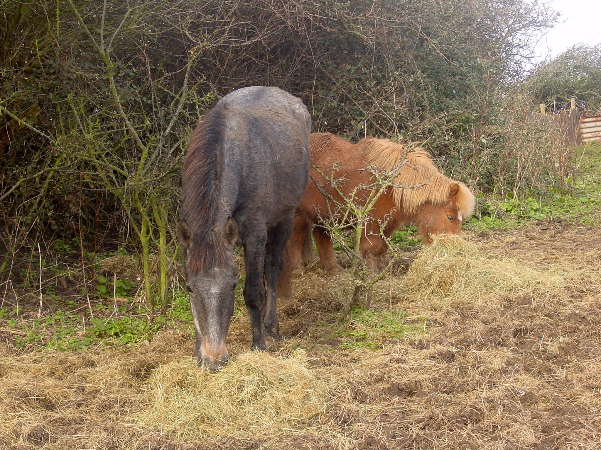 Click now to see this image full size.