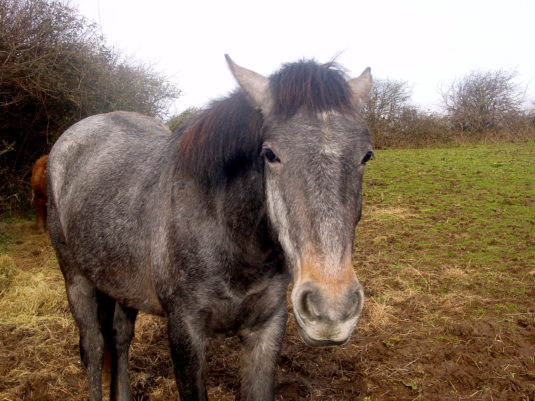 Click now to see this image full size.