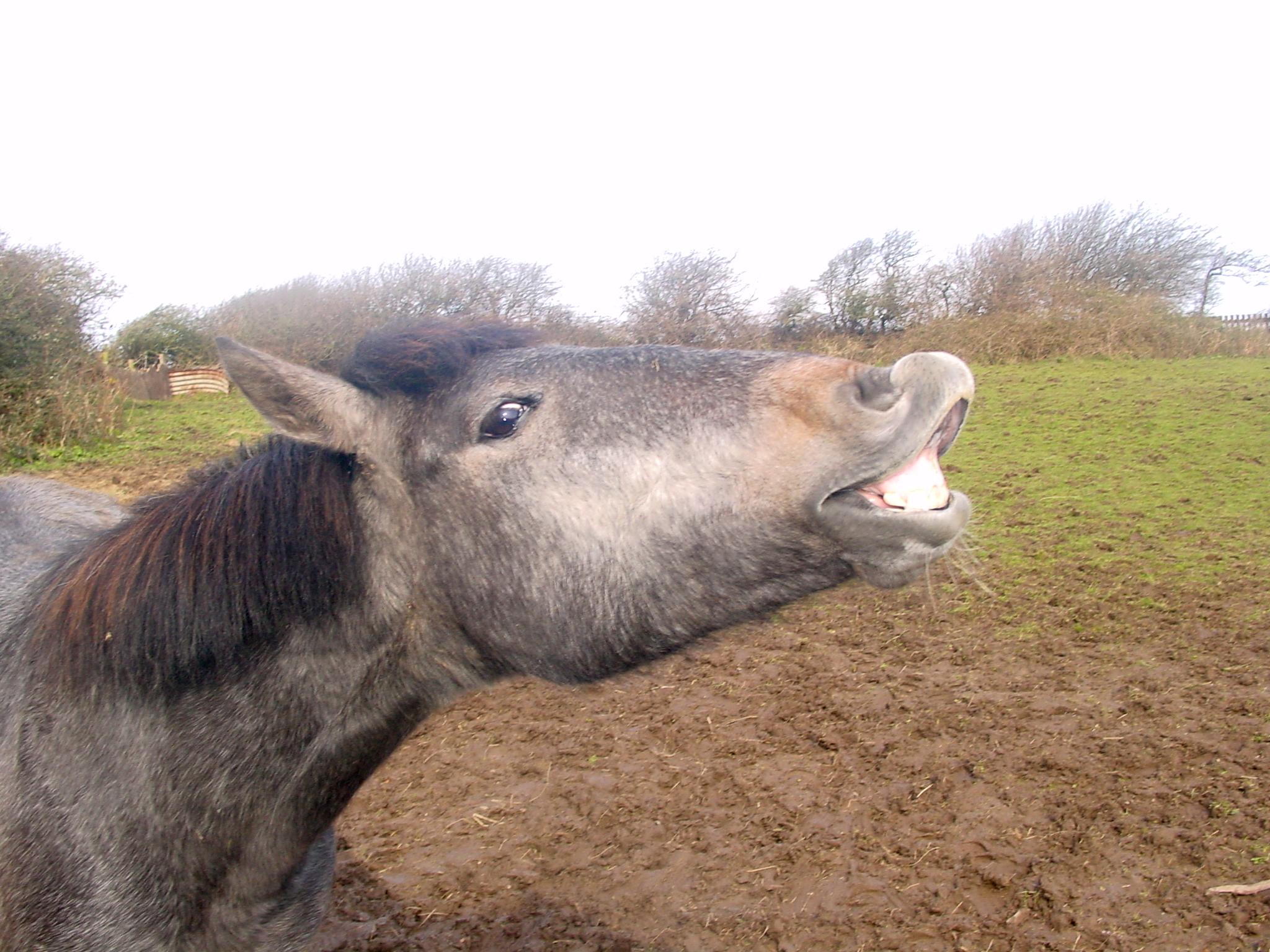 Click now to see this image full size.