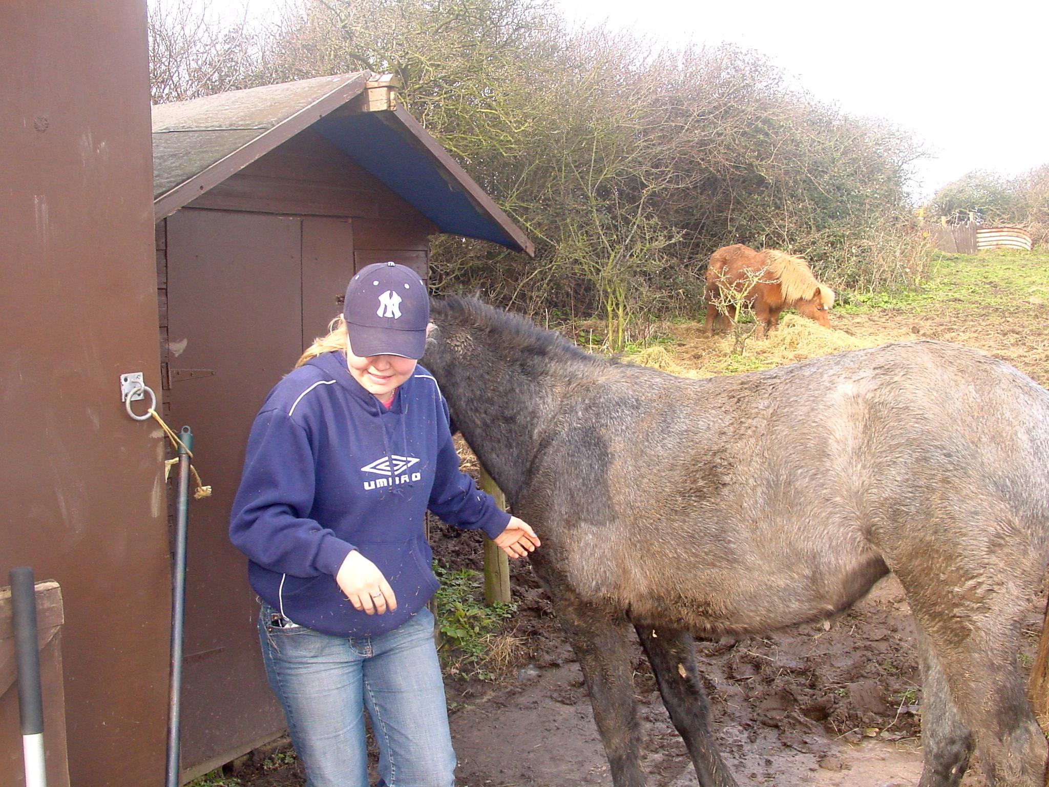 Click now to see this image full size.