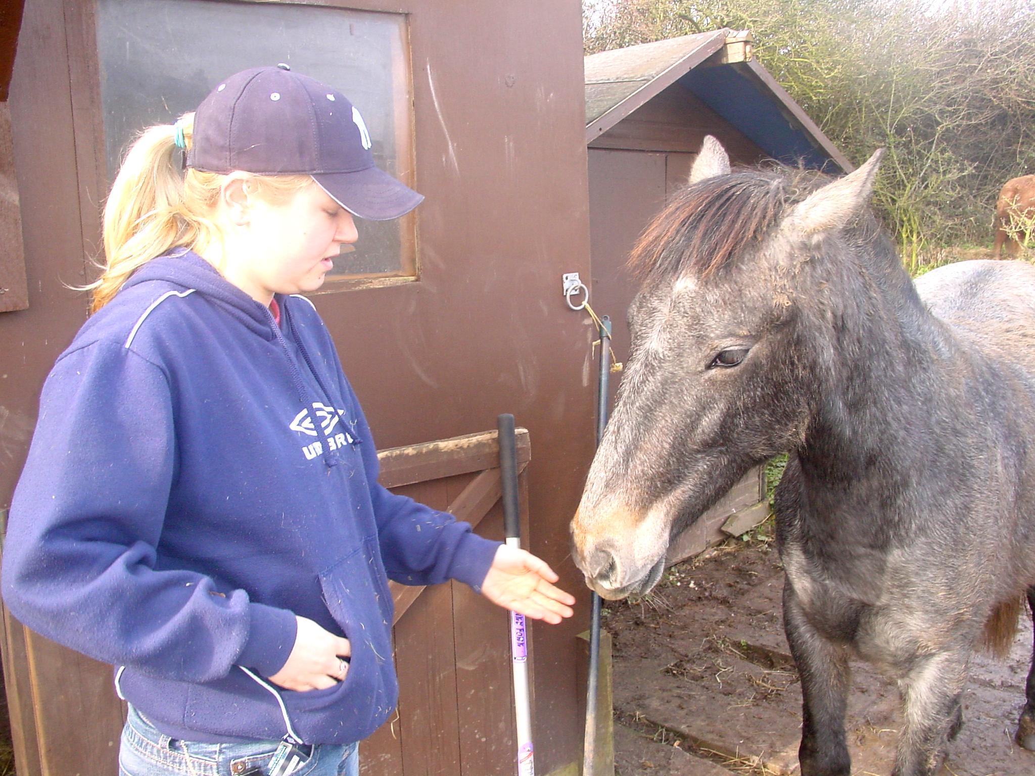 Click now to see this image full size.