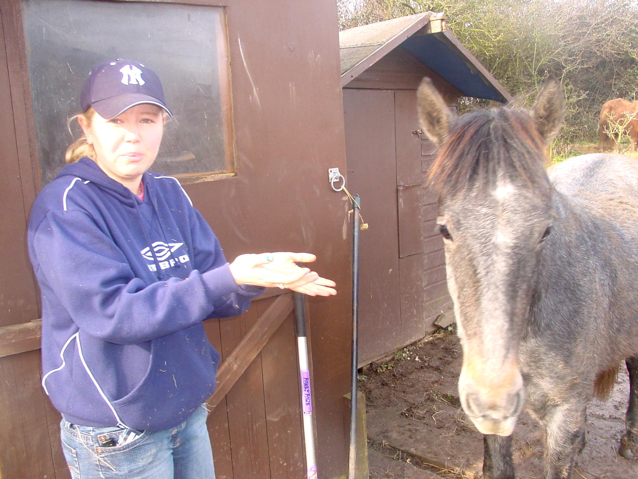 Click now to see this image full size.