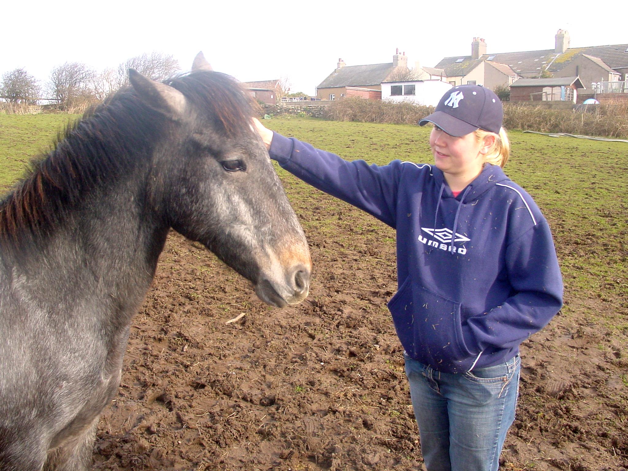 Click now to see this image full size.