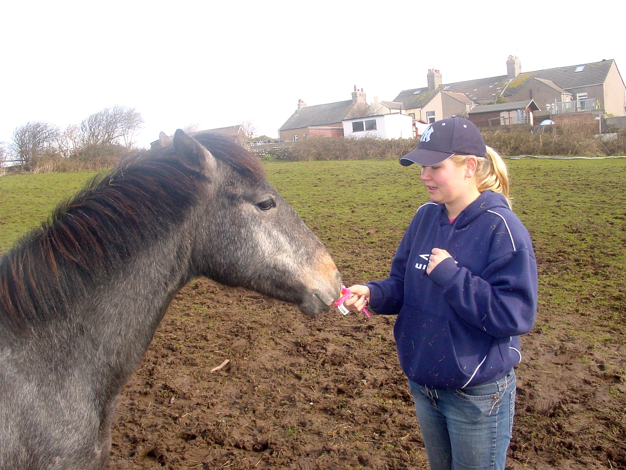 Click now to see this image full size.