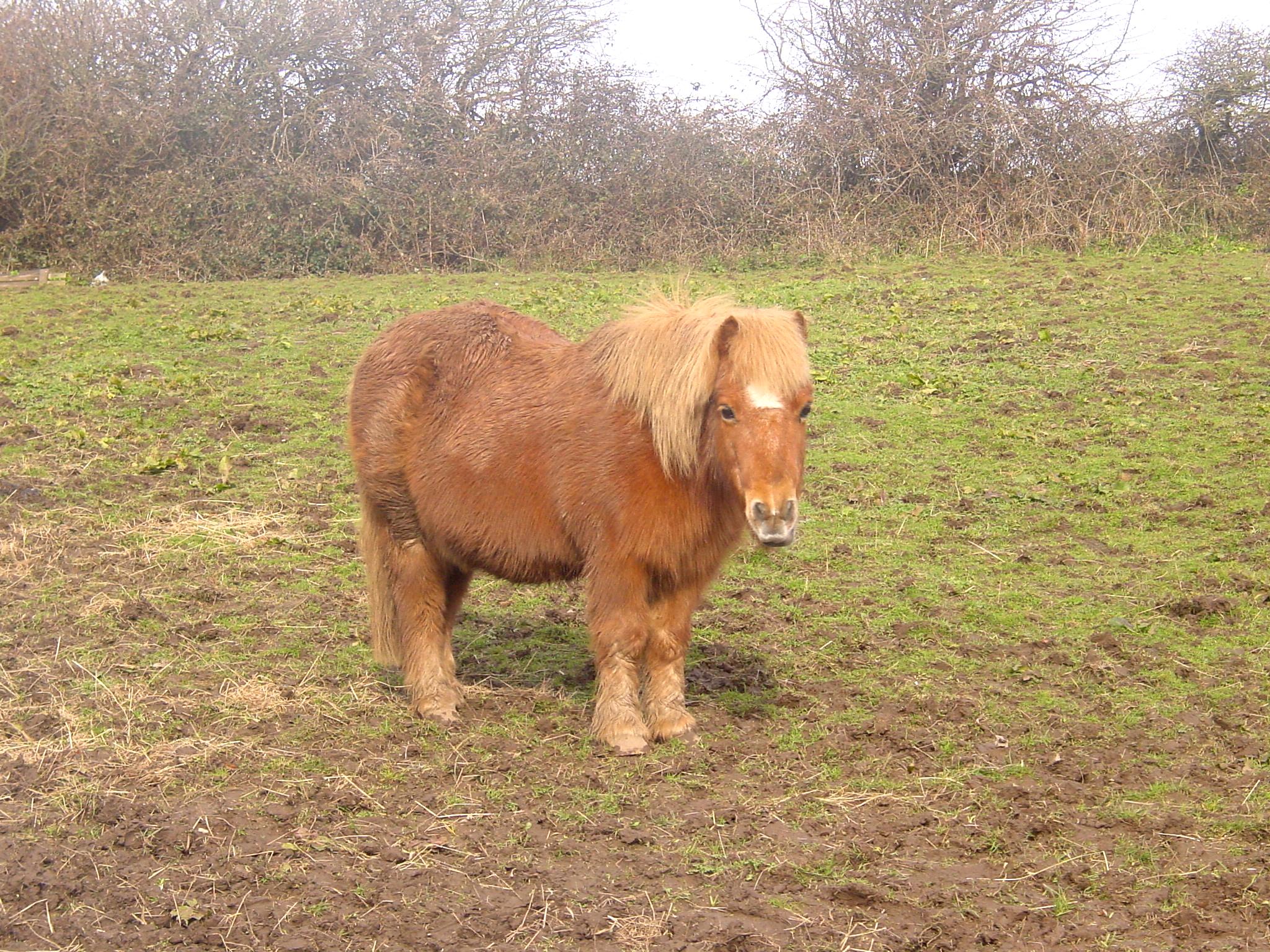 Click now to see this image full size.