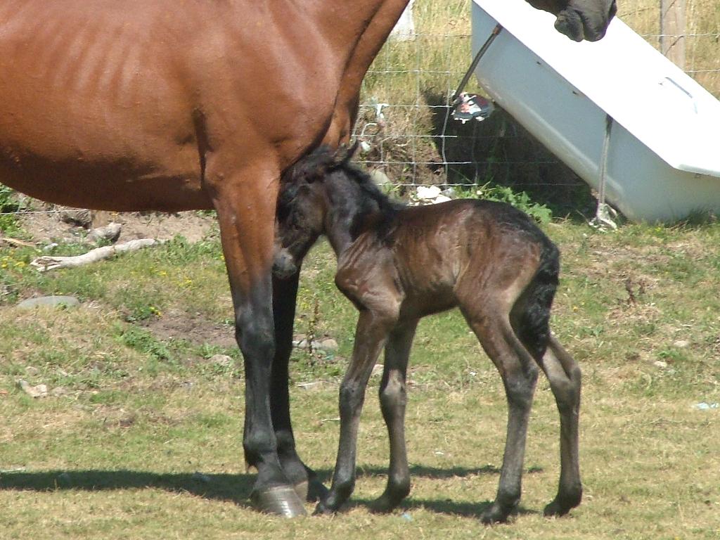 Click now to see this image full size.