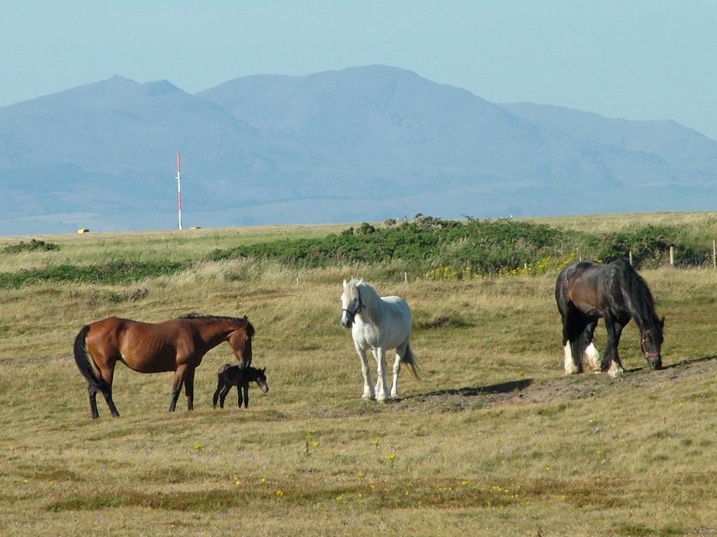 Click now to see this image full size.