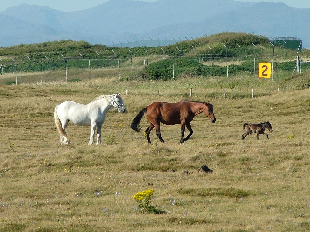 Click now to see this image full size.