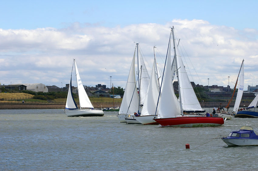 Click now to see this image full size.