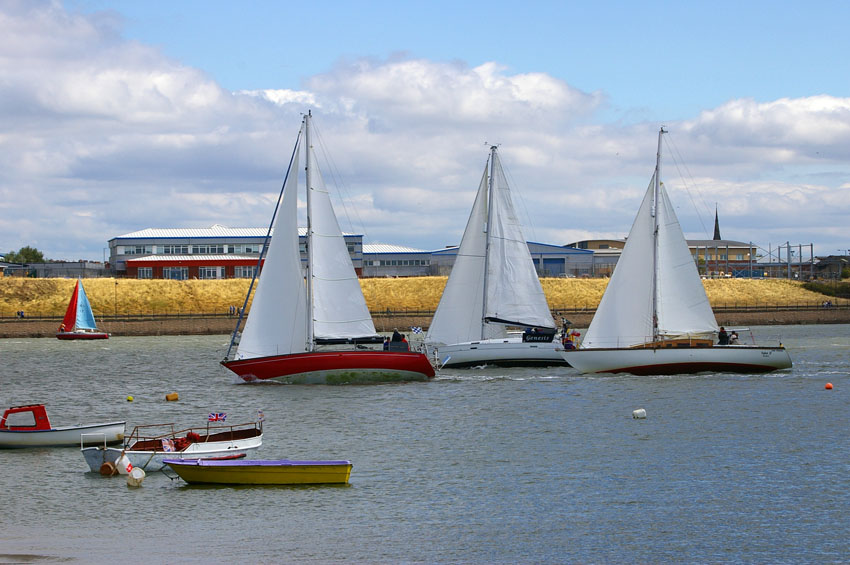 Click now to see this image full size.