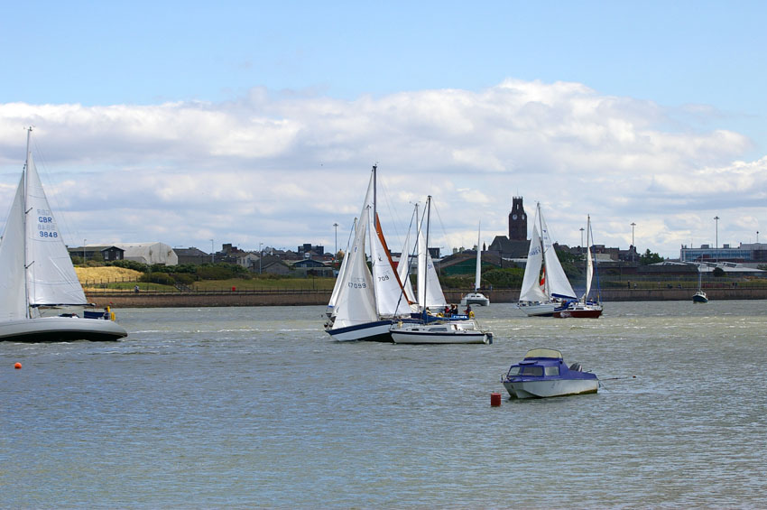 Click now to see this image full size.