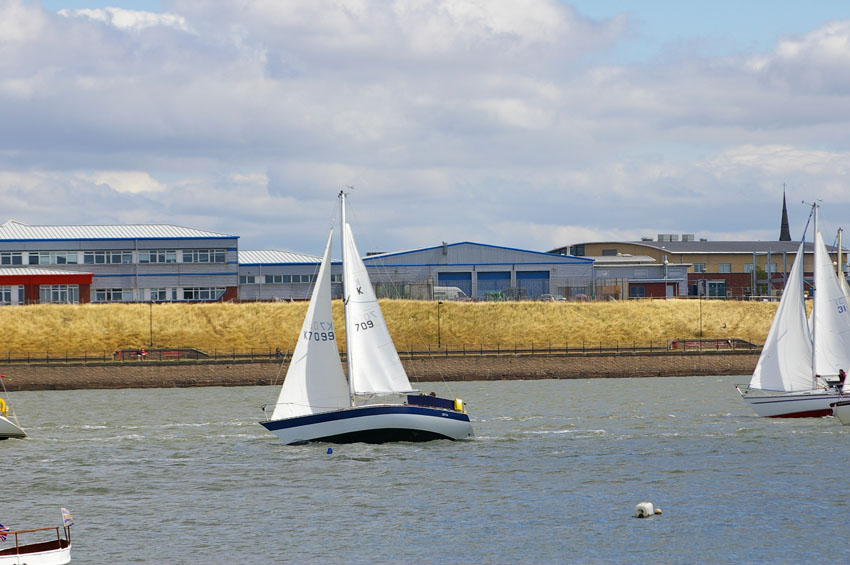 Click now to see this image full size.