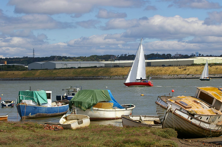 Click now to see this image full size.