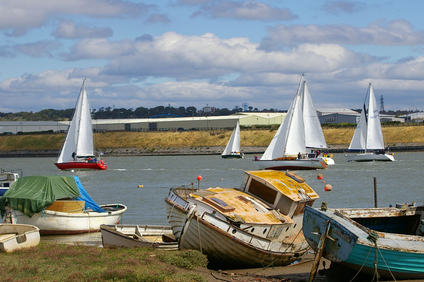 Click now to see this image full size.