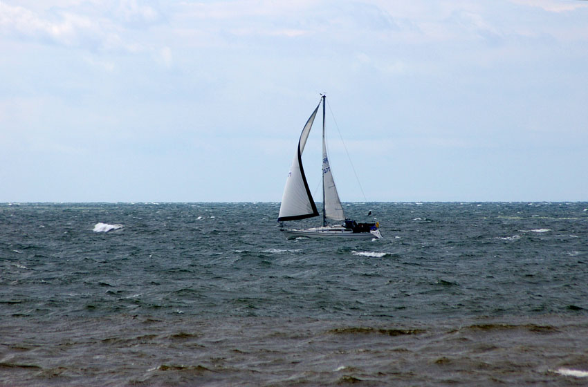 Click now to see this image full size.