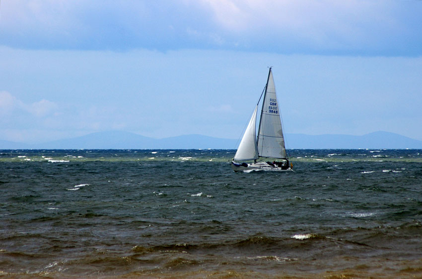 Click now to see this image full size.