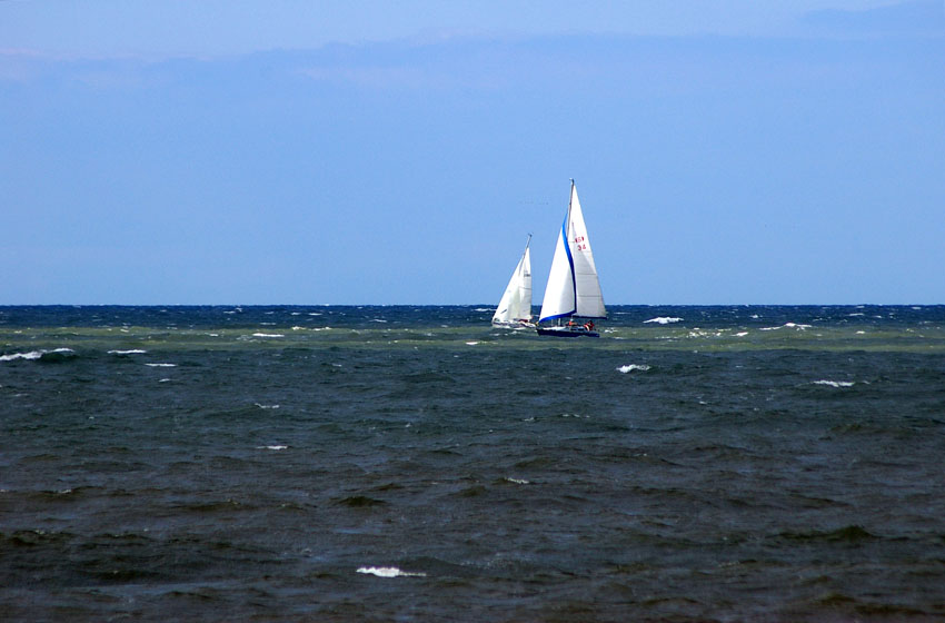 Click now to see this image full size.