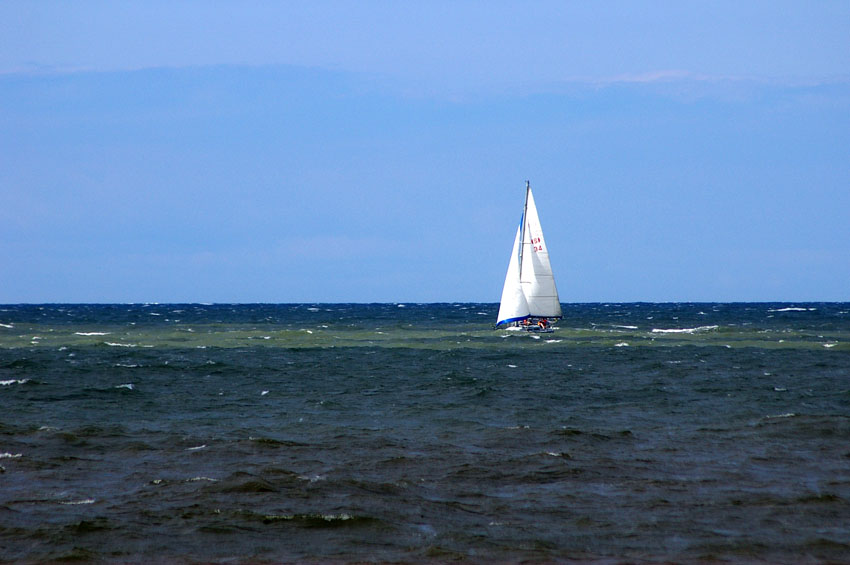 Click now to see this image full size.