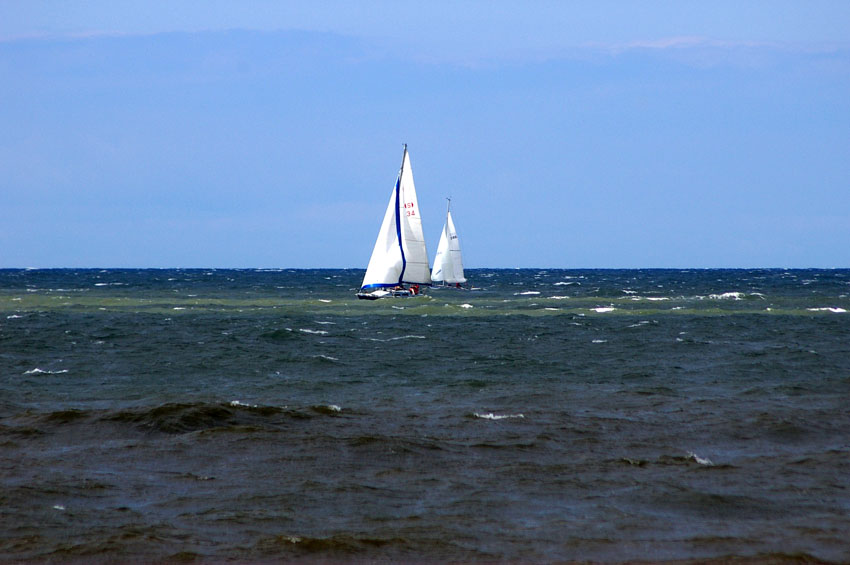 Click now to see this image full size.