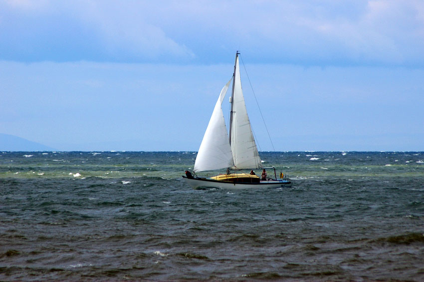 Click now to see this image full size.