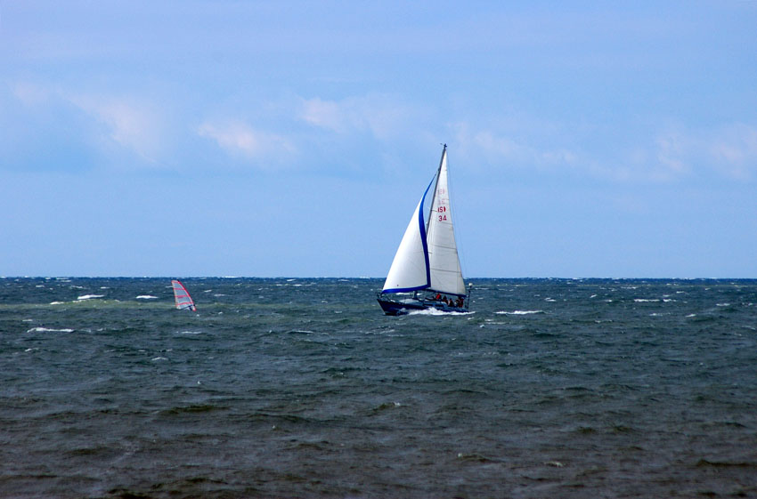 Click now to see this image full size.