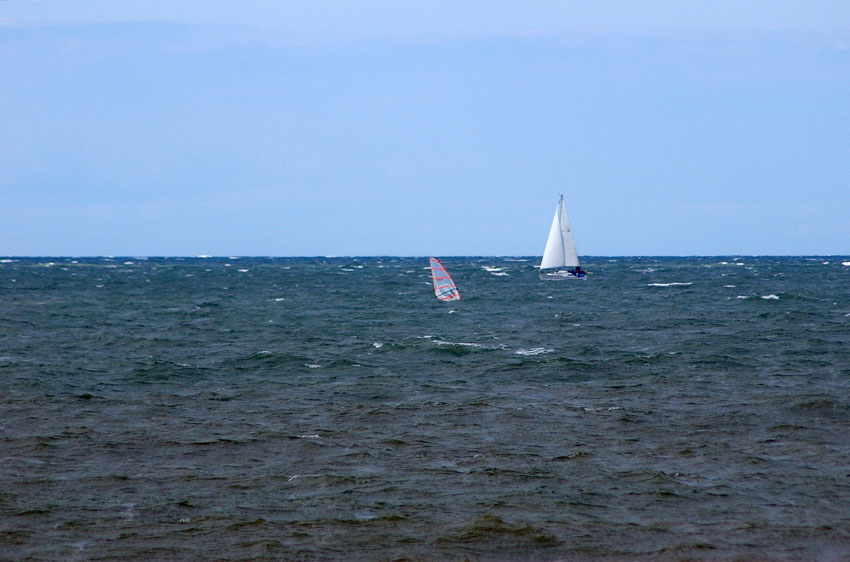 Click now to see this image full size.