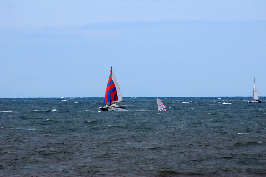 Click now to see this image full size.