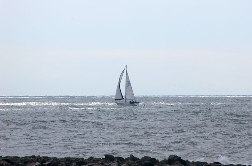 Click now to see this image full size.