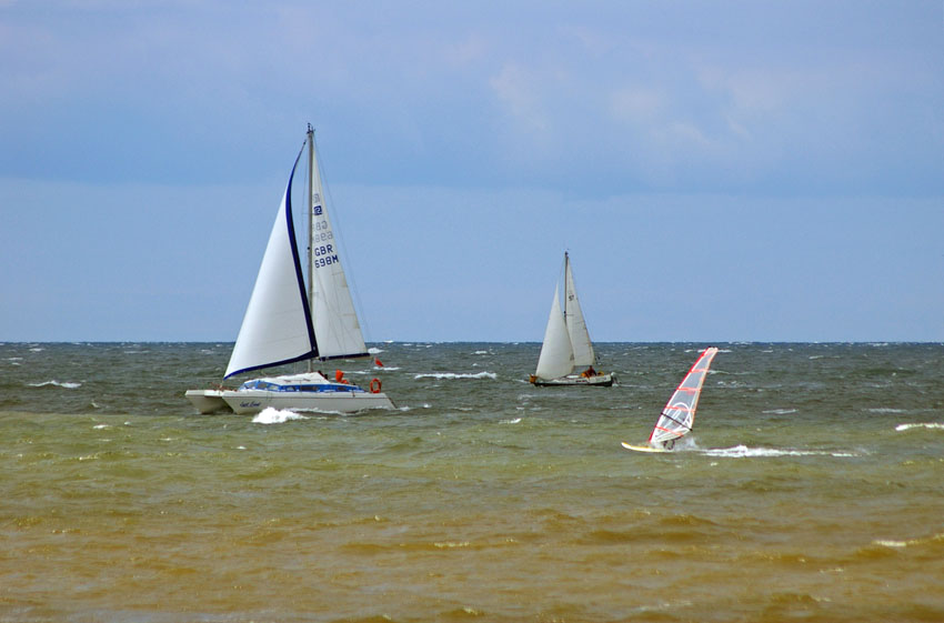 Click now to see this image full size.