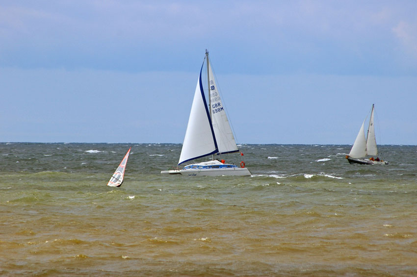 Click now to see this image full size.