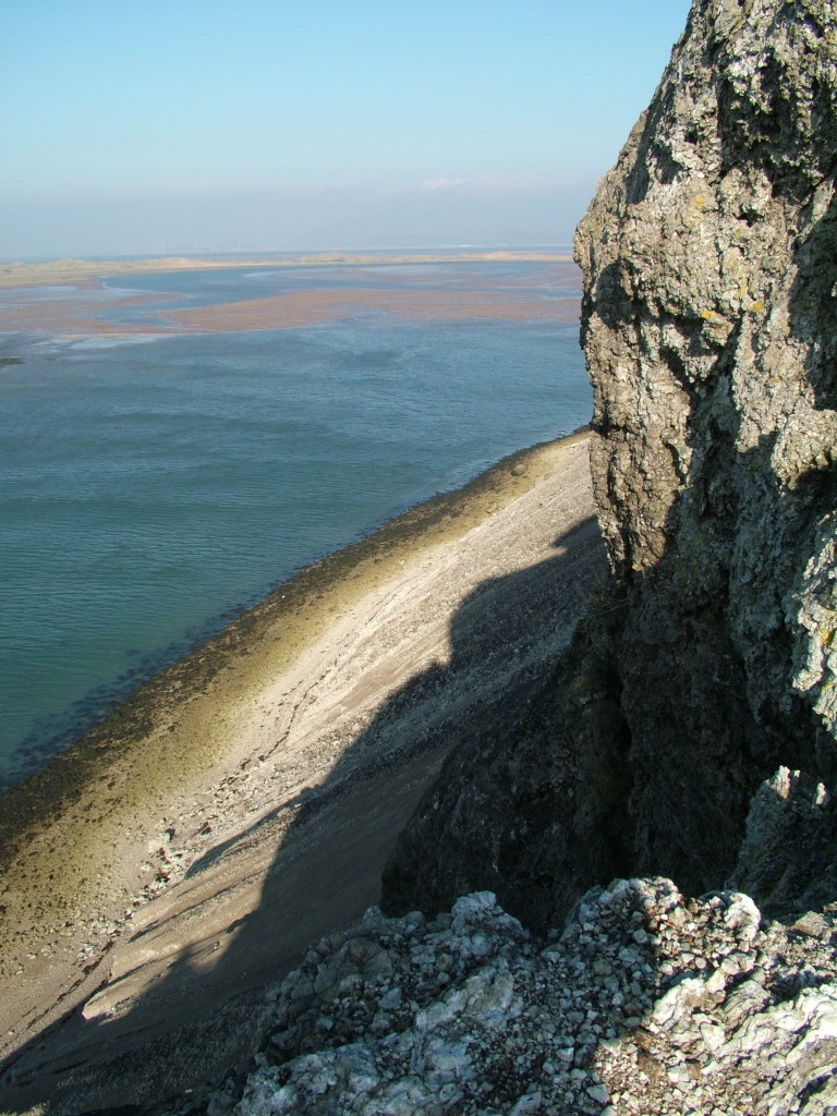 Click now to see this image full size.