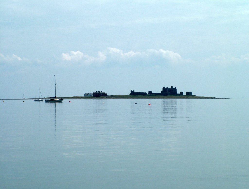 Click now to see this image full size.