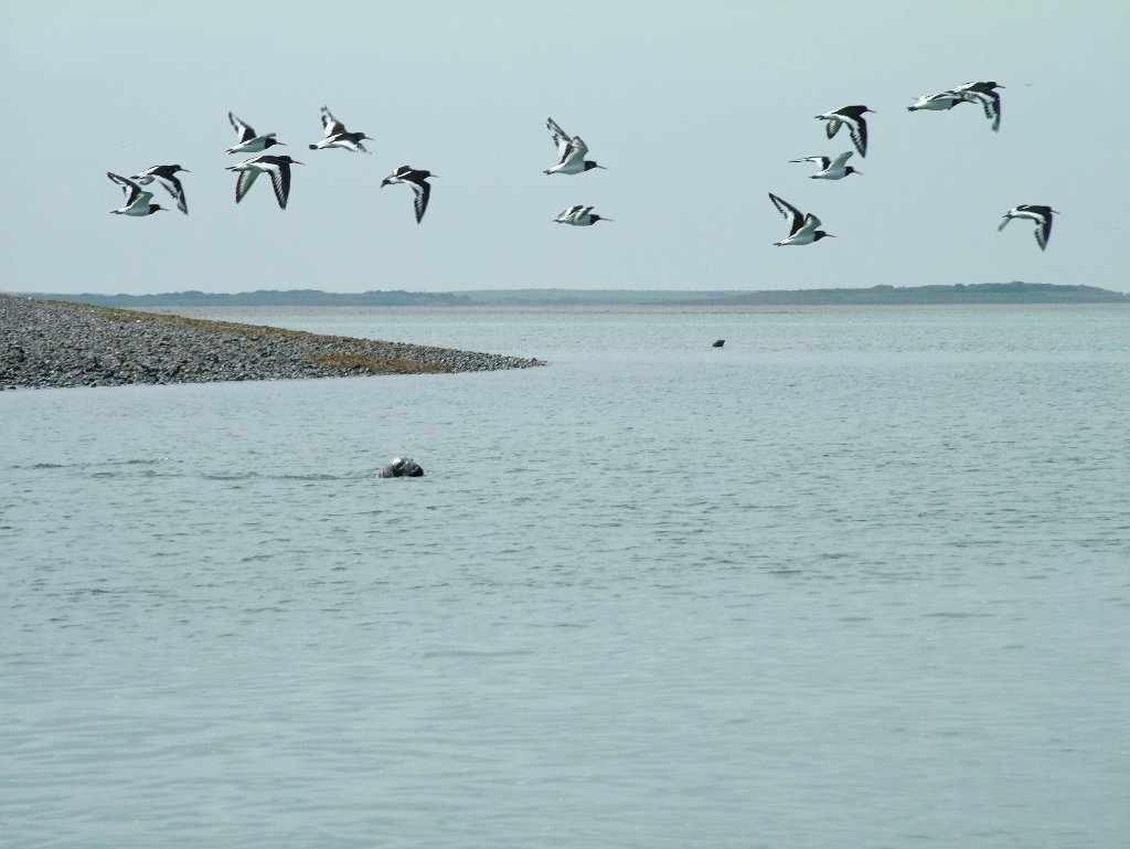 Click now to see this image full size.