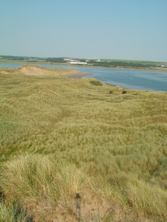 Click now to see this image full size.