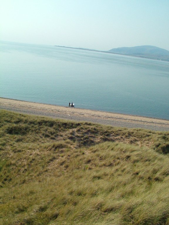 Click now to see this image full size.