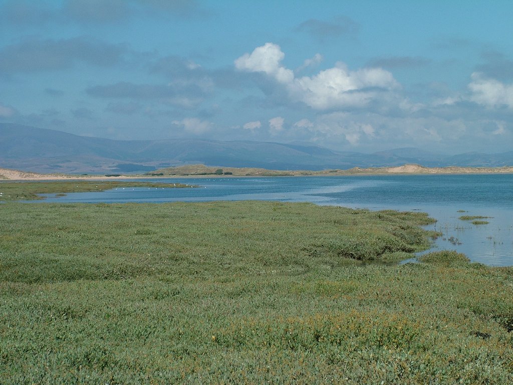 Click now to see this image full size.