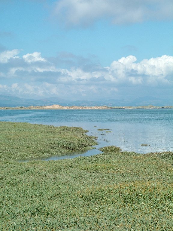 Click now to see this image full size.