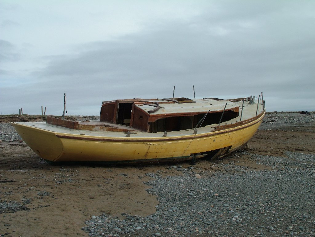 Click now to see this image full size.