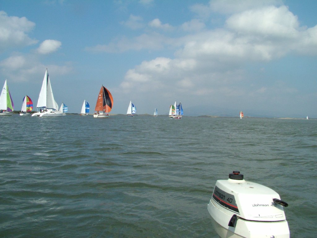 Click now to see this image full size.