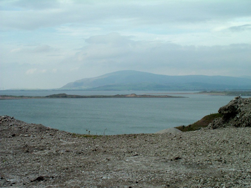 Click now to see this image full size.