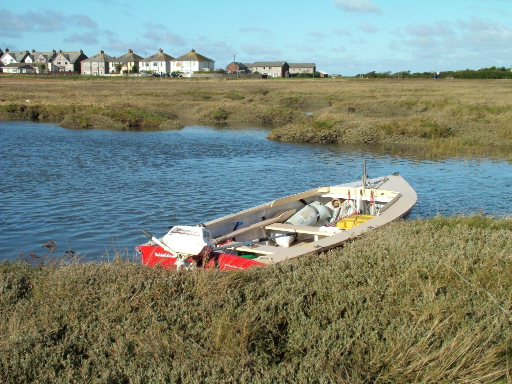 Click now to see this image full size.