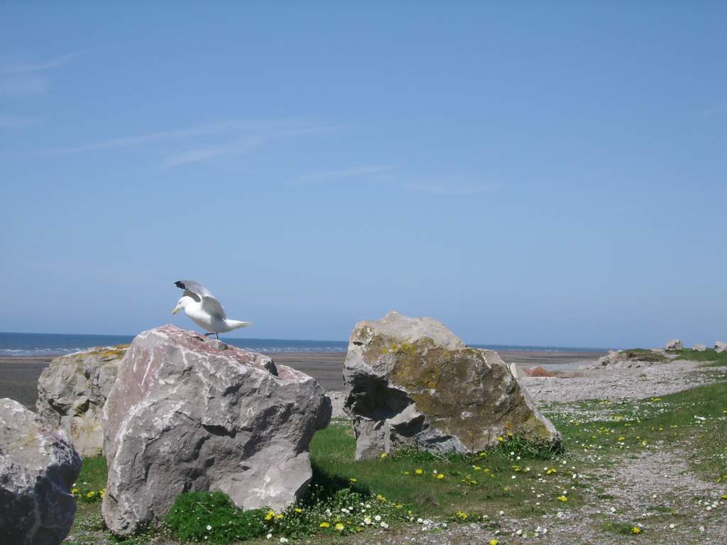 Click now to see this image full size.