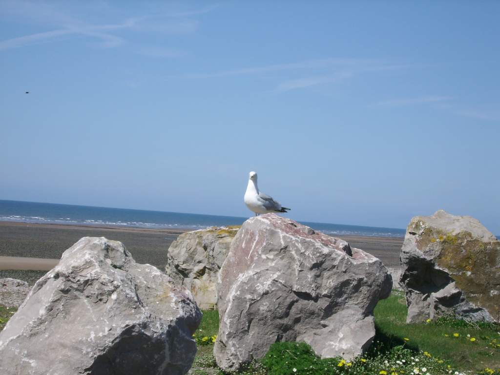 Click now to see this image full size.